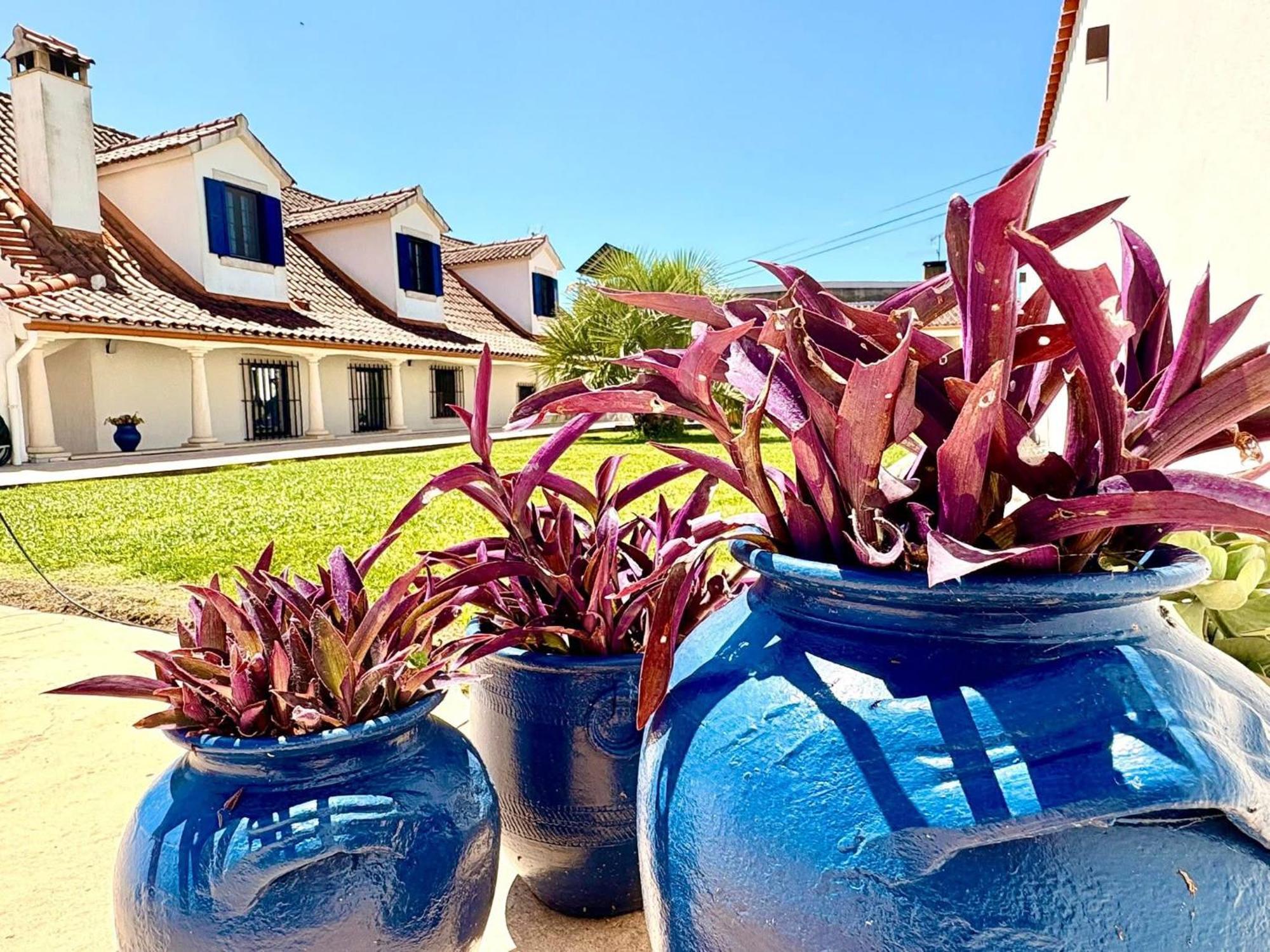 Casal Dos Frades Bed & Breakfast Fontainhas  Dış mekan fotoğraf